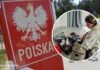 Які продукти і товари можна ввозити з України до Польщі: актуальні правила