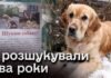 Зник на початку повномасштабного вторгнення: пес-поводир повернувся додому через майже 2 роки